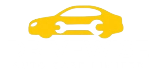 drivewise logo drivewise logo